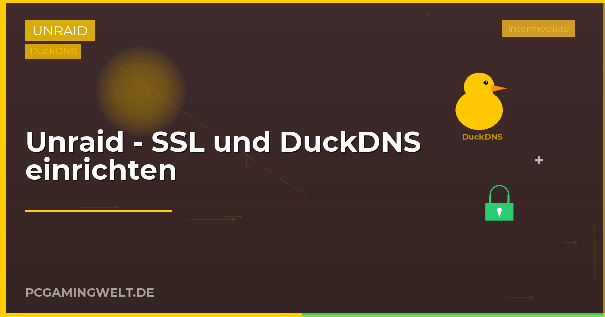 Unraid - SSL und DuckDNS einrichten